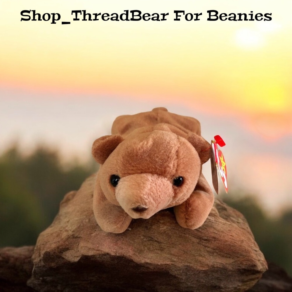 Cubbie - The (Rare & Retired) VNTG. Bear Cub | NWT Ty Beanie Baby | 1993 - Roar!